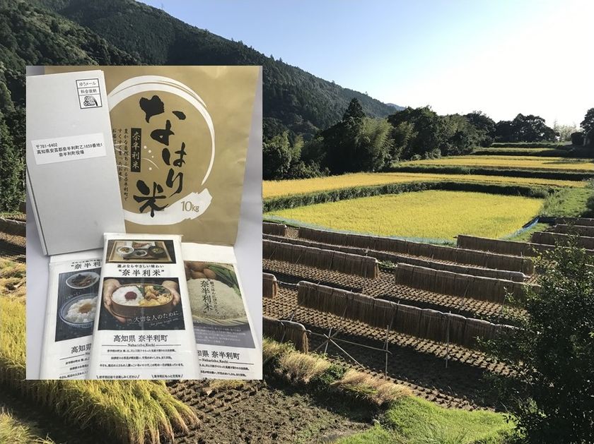 高知県 奈半利町で“ワンコイン”でふるさと納税がスタート!
もっと手軽に寄付して特典の「奈半利米」を堪能