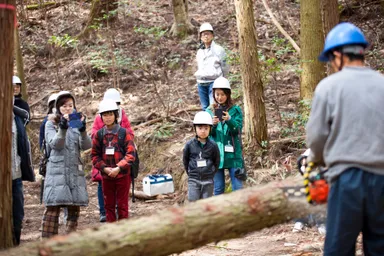 山での伐採見学風景2