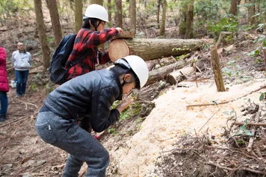 山での伐採見学風景3