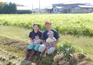出雲生姜の収穫風景(2)