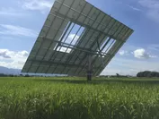 太陽光発電×水田設置 3