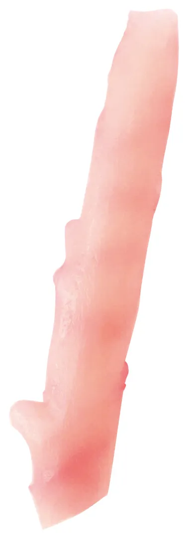 岩下の新生姜(丸ごと)