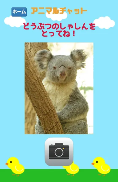 アニマルチャット イメージ