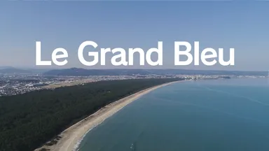 動画の部　グランプリ