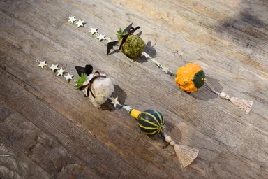 ハロウィン苔玉アート　完成イメージ図