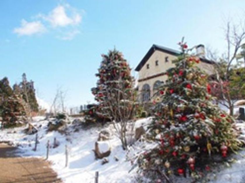 ヨーロッパの雰囲気と1000万ドルの夜景を楽しむ
「六甲ガーデンテラスのクリスマス」
11月3日（金・祝）～12月25日（月）