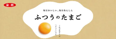 ふつうのたまご(TOP)