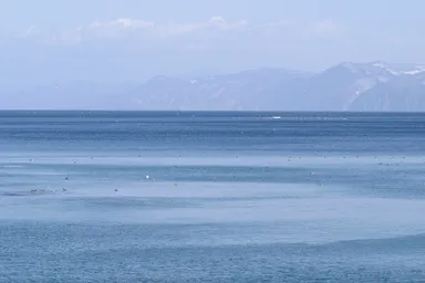 青森県の陸奥湾