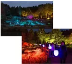 （上・下）高橋匡太 「Glow with Night Garden Project in Rokko  提灯行列ランドスケープ」 2016年