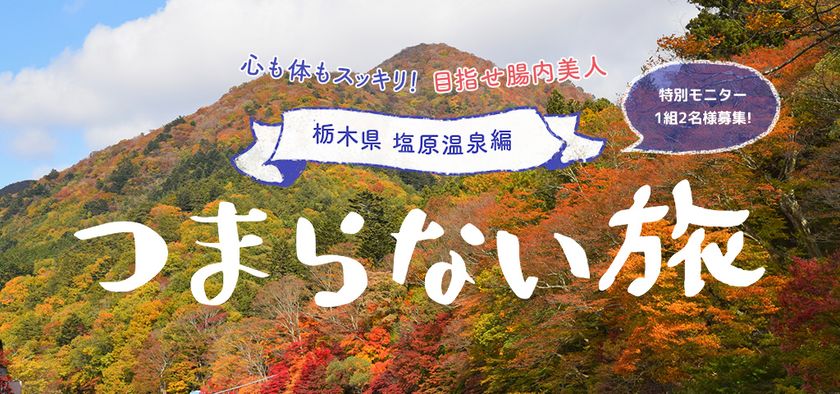 ツマラナイ？いえ、詰まらないんです！
「つまらない旅」無料体験モニター募集開始