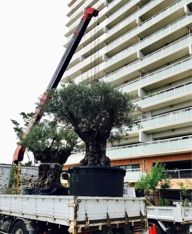 皆さんのご協力で設置が始まりました！