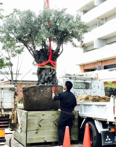 スペインから届きました！