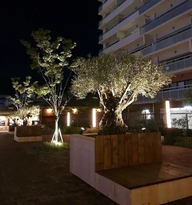 夜はライトアップされ更にステキな場所に！