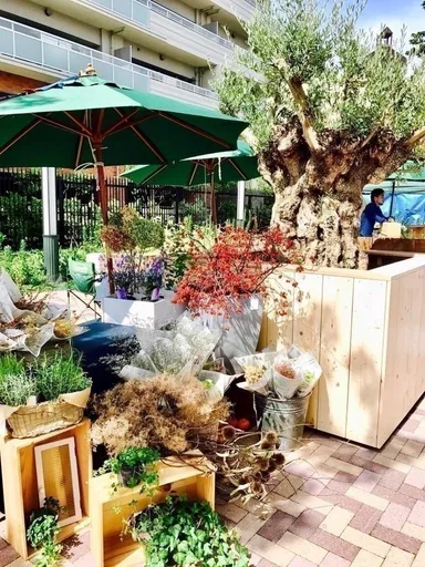 ドライフラワーの店舗さんも！