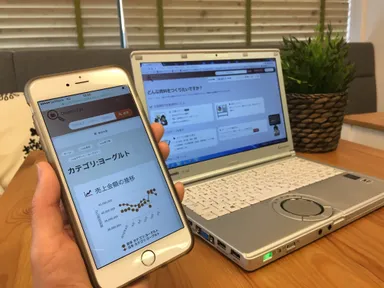 購買データ分析ツール「ドルフィンアイ」画面イメージ