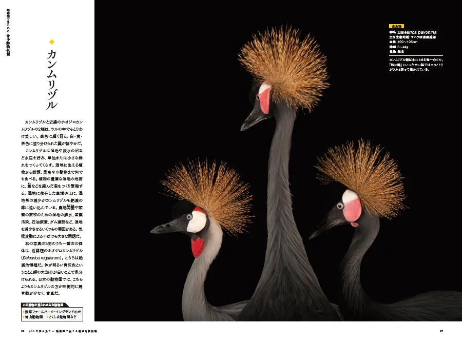 100年後も見たい 動物園で会える絶滅危惧動物』 10月16日（月