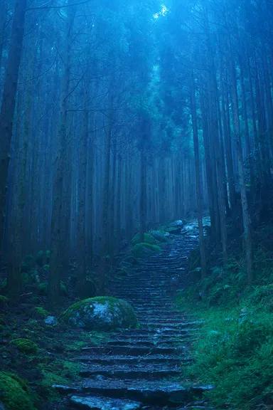 熊野古道中辺路最難関と言われる大雲取越を歩いたのは大雨の日でした。(展示写真)