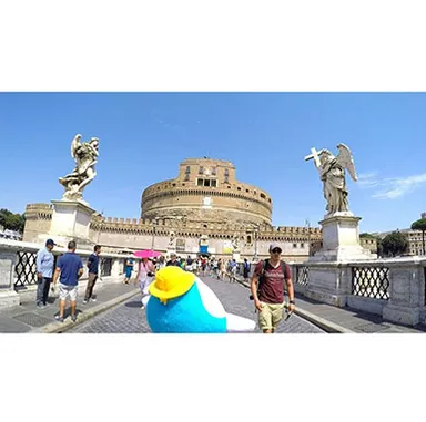 プレスリリース