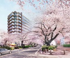 相模原市・市役所前通り“初”の全邸桜並木向き！新築分譲マンション「ライフレビュー相模原」をリビングライフが新発表