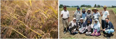 お米と矢巾町の皆さん