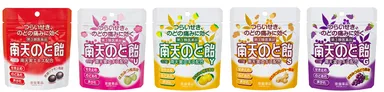 南天のど飴　22錠（パウチ）5風味