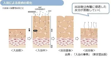 入浴による皮膚の変化