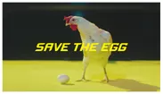 save the egg2
