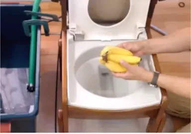 丸ごとバナナを流してもご覧の通り安心です