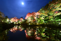 世界遺産・日光山輪王寺の秋、紅葉の名所「逍遥園」10/25(水)～11/15(水)秋夜のライトアップ開催！