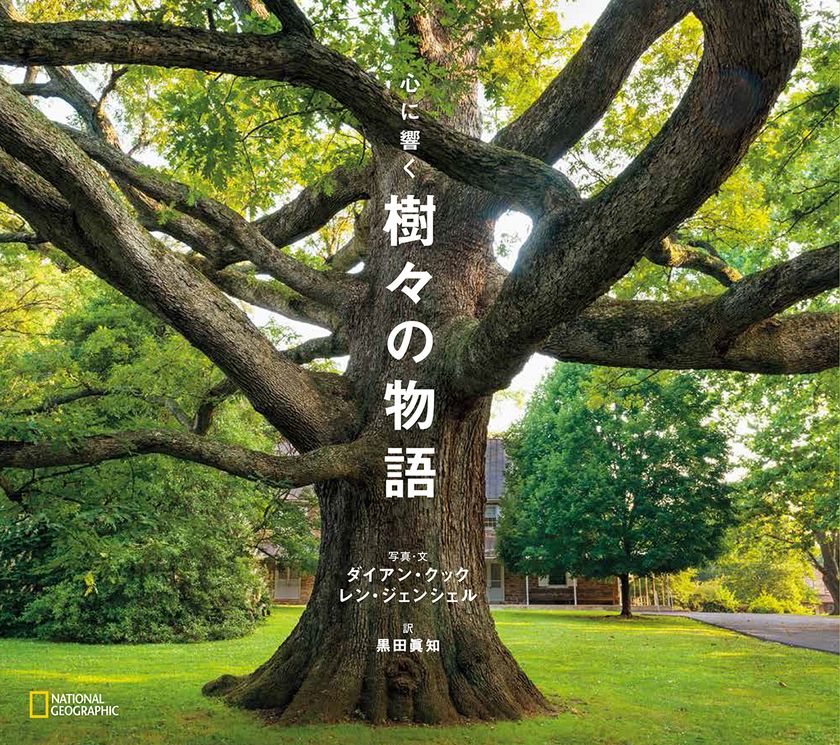 ビジュアル書籍『心に響く樹々の物語』
10月23日(月)発行