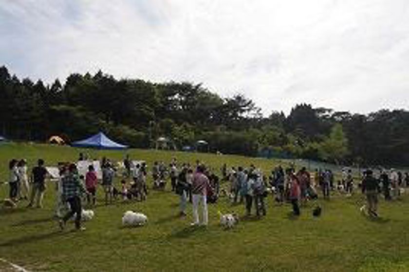 スポーツの秋！「ワンちゃん大運動会」
10月29日（日）に六甲山カンツリーハウスで開催！