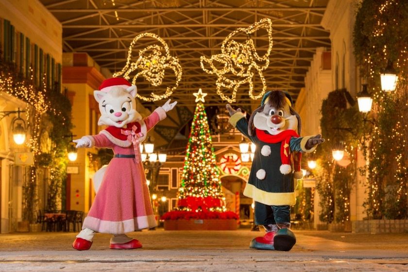 11月11日（土）
高さ約7ｍのクリスマスビッグツリー登場！
