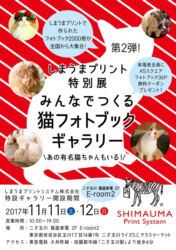 二子玉川 蔦屋家電に全国から2 000冊以上の猫 フォトブックが大集合 関東初開催 しまうまプリント特別展が11月11日 12日開催 しまうまプリントシステム株式会社のプレスリリース