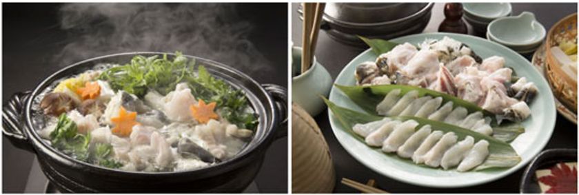 寒い季節に至福のひとときを
さまざまな河豚料理が味わえる「河豚鍋」を販売
4名様以上のご利用で日本酒利き酒3点セットの特典付