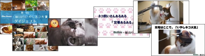 マックハウスの『いやしネコ大賞』から 
『いやしネコmovie』募集開始!