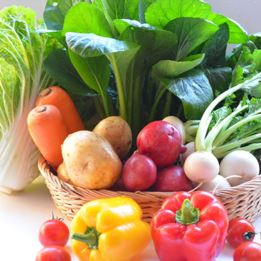 美容と健康に関する最新レポートをmicrodiet.netにて公開　
『ビタミンＣを摂るならレモンは非効率！１食で効率摂取できる食品は？』