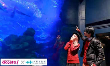 acosta!＠京都水族館5