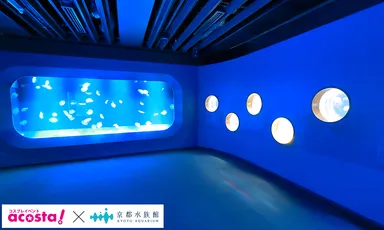 acosta!＠京都水族館7