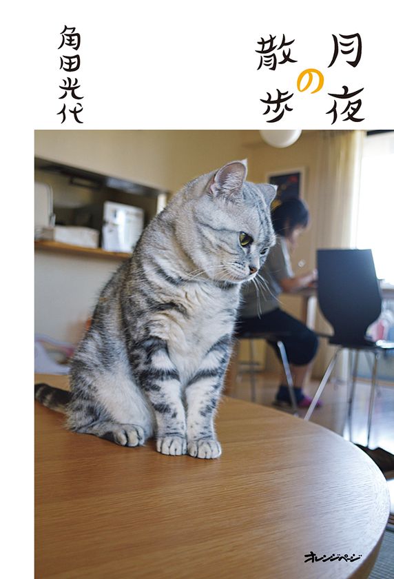 作家・角田光代のほっこり笑顔になる日常を綴った人気エッセイ集
ファン待望の5年ぶり第三弾が発売！
角田光代『月夜の散歩』