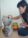 愛猫トトと角田光代さん
