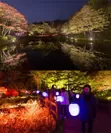 (上)昨年の園内の様子　(下)Glow with Night Garden Project in Rokko 提灯行列ランドスケープ 2016