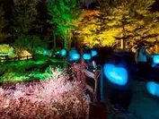 ≪Glow with night Garden Project in Rokko 提灯行列ランドスケープ≫2016年　六甲高山植物園