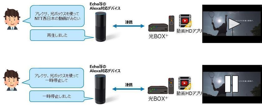 光BOX＋(HB-2000)のAmazon Echo対応について
～スマートスピーカーから音声で光BOX＋を操作～
