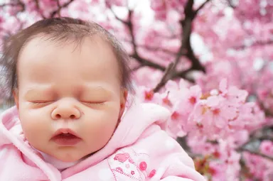 リボーンドール(14)