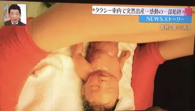 ドラマ・CM・情報番組など30社以上の撮影に起用