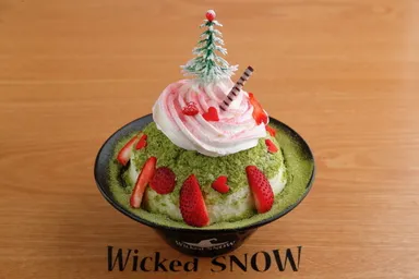 ウィキッドツリー(Wicked Tree)