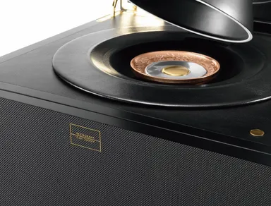 5000ユーロ金貨　特製ケース