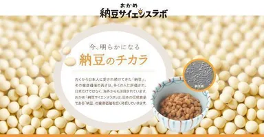 おかめ「納豆サイエンスラボ」