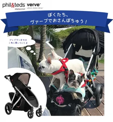 phil&teds verve3 double black