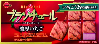 ブランチュールミニチョコレート濃厚いちご